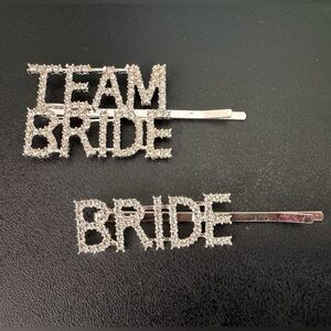 Silver Bride Hair Clips set of 2